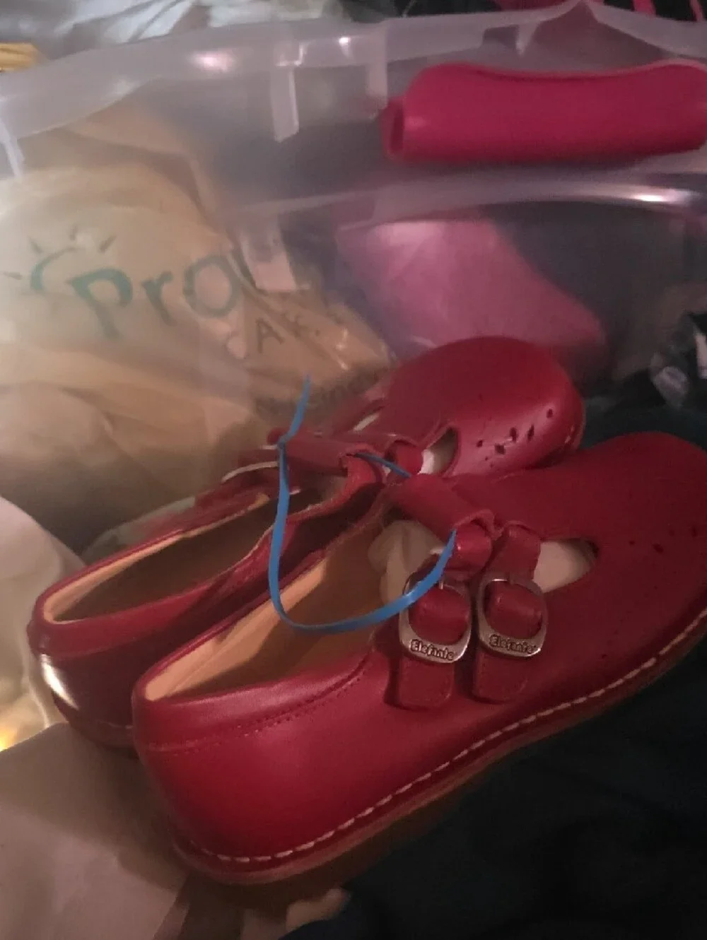 Kids Red Leather Mary Jane Shoes